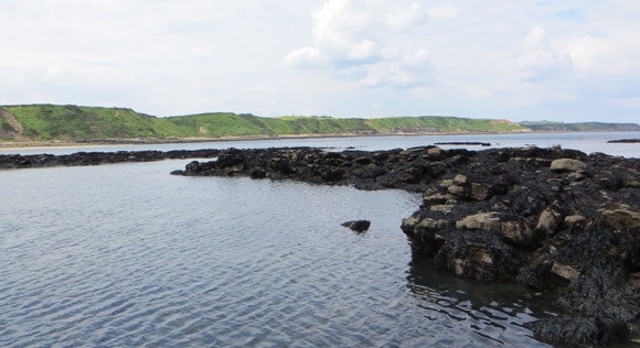 Rocky-area-for-lobsters-scarborough