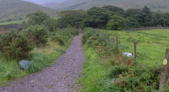 Clear path at the start of Scafell Pike