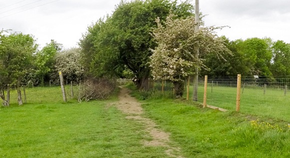 Grassed route to Lose Hill