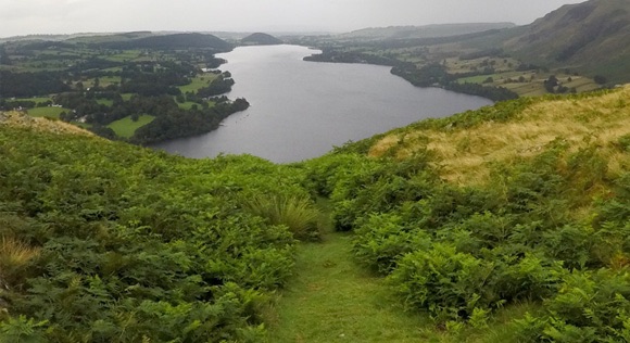 Path down Hallin Fell