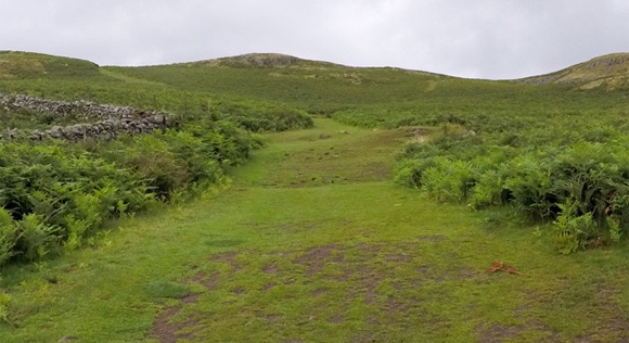 Wide path up Hallin Fell