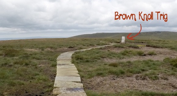 Brown Knoll Trig