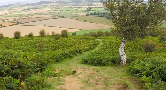 Clear grass route from Roseberry Topping