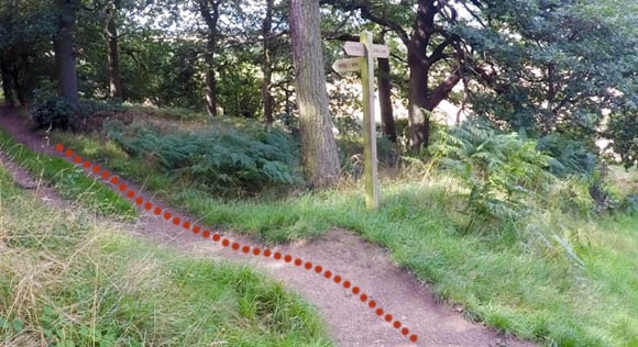 Following bridleway signpost