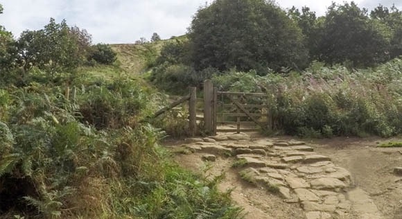 Gate to cross through