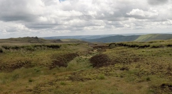 Kinder Low to Noe Stool