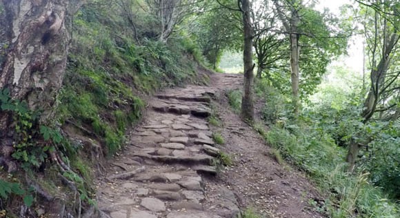 Path just after steps