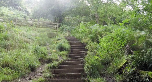 Right turn at top of steps