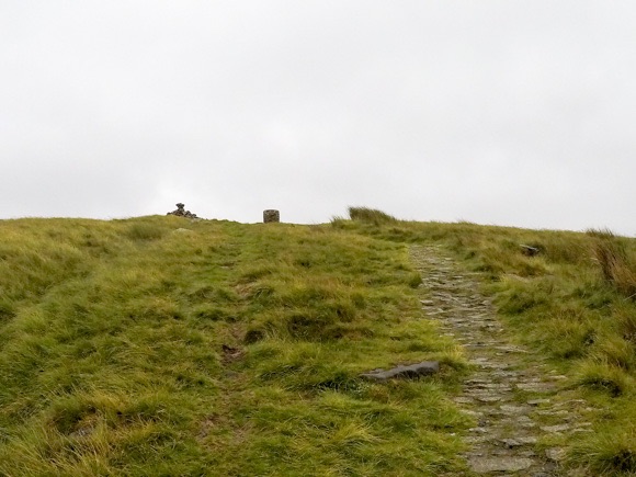 steps leading to trig