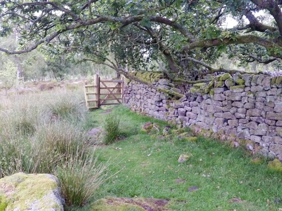 Gate after Gardoms Edge