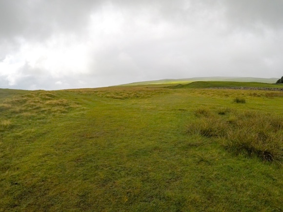 Grass pathway