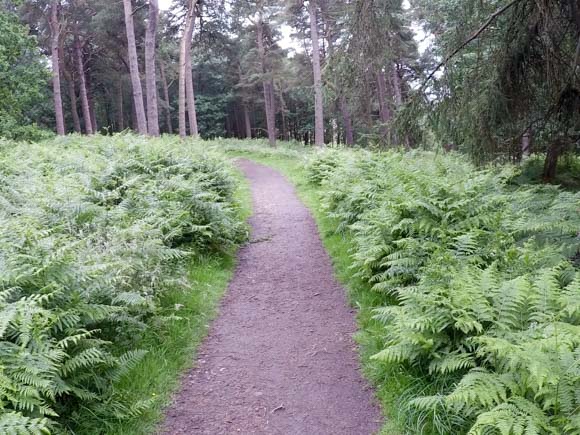 Longshaw route