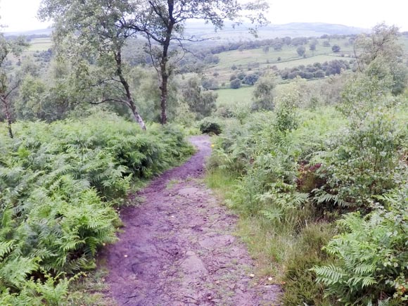 Path to Robin Hood Inn