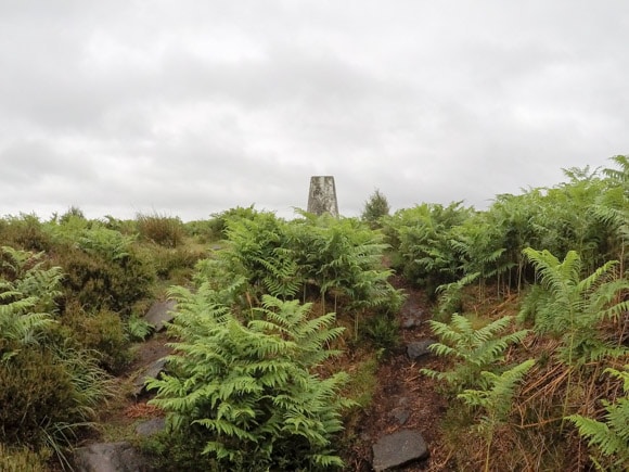 Trig on Birchens Edge