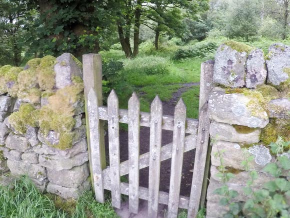 Wooden gate