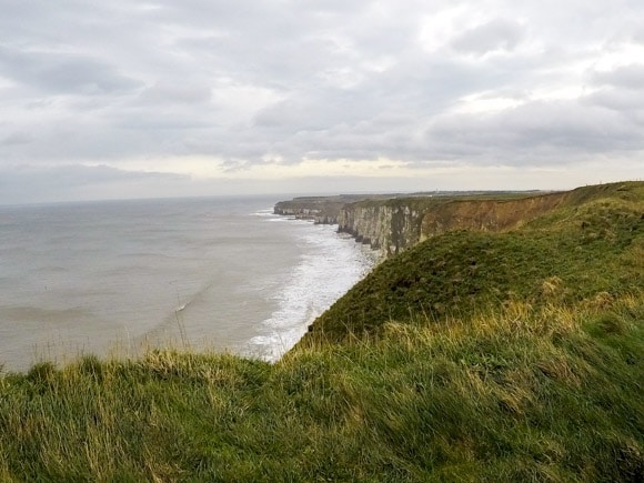 Bempton Cliffs 17