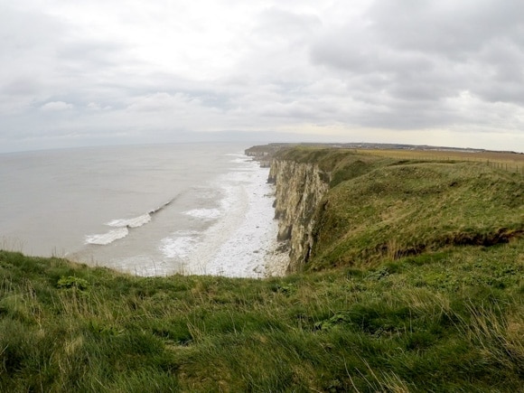 Bempton Cliffs 20