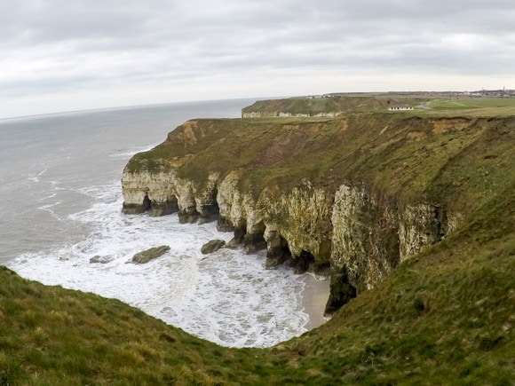 Bempton Cliffs 25