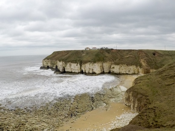 Bempton Cliffs 27