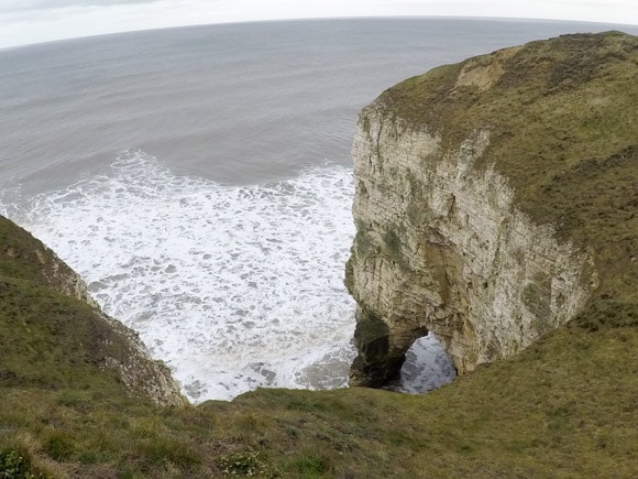 Bempton Cliffs 40