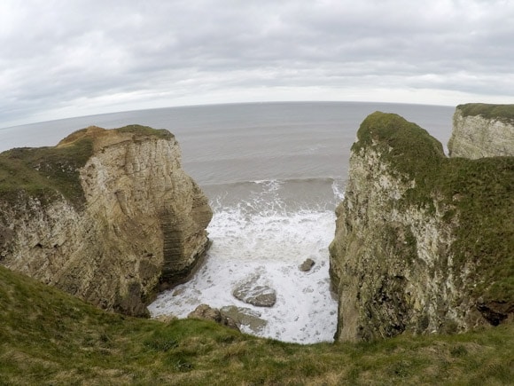 Bempton Cliffs 41