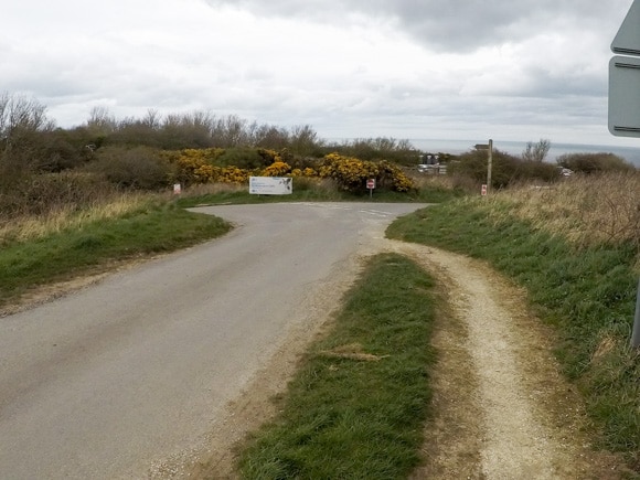 Bempton Cliffs 69