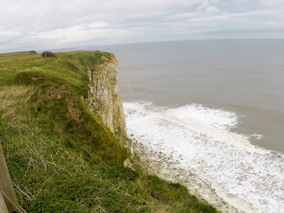 Bempton Cliffs 7