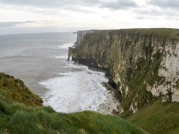 Bempton Cliffs 8