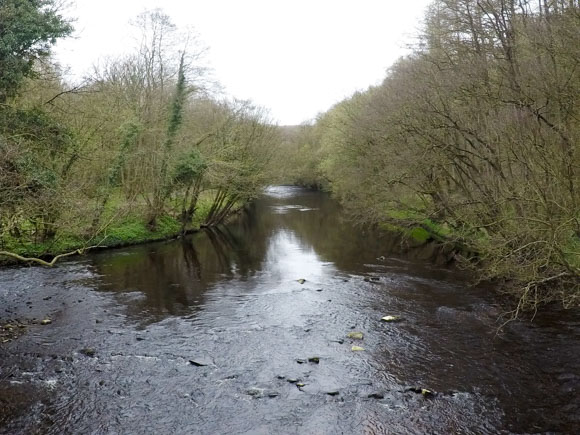 Calm River Nidd