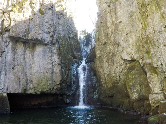 Catrigg Force