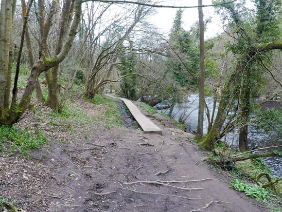 River Nidd Gorge Walk