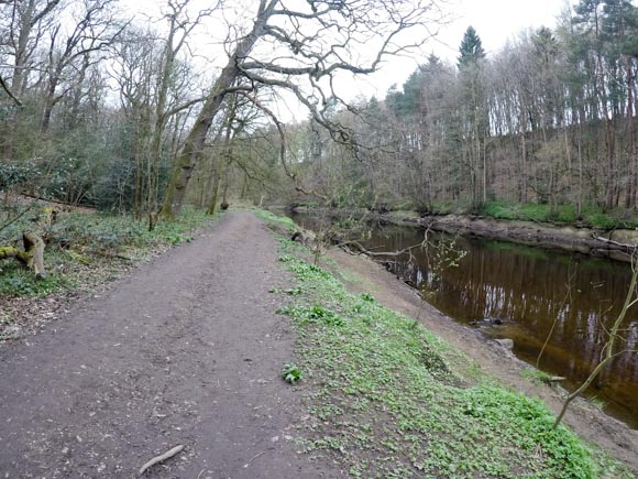 River Nidd Gorge Walk