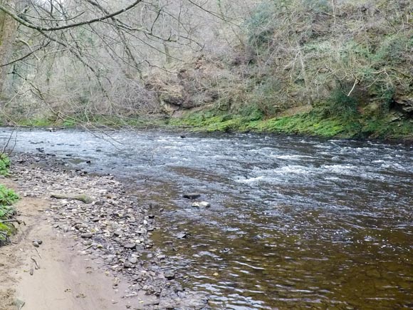 River Nidd