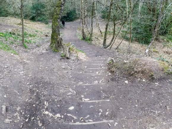 Steps towards River Nidd