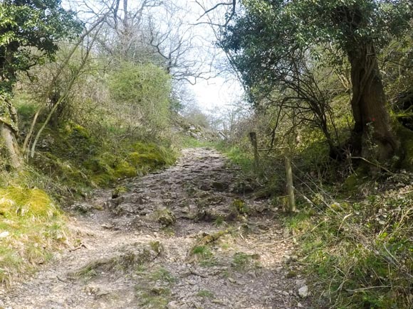 Thors Cave to Wetton 20