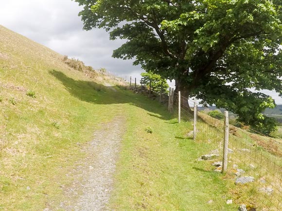 Blencathra Sharp Edge Walk 5