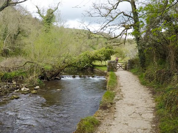 Dovedale to Milldale Walk 13