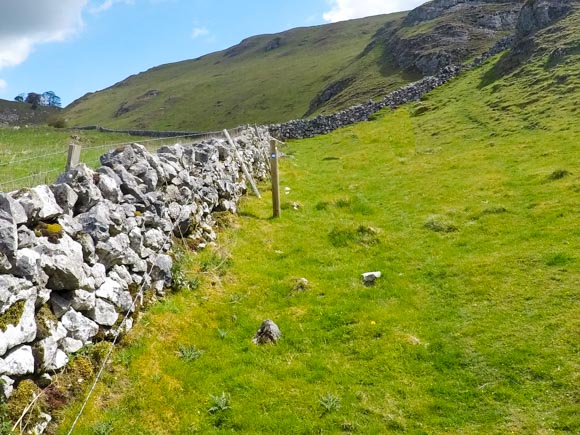 Dovedale to Milldale Walk 42