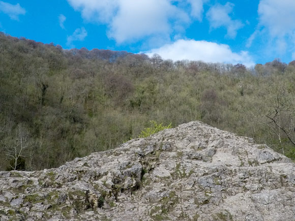 Dovedale to Milldale Walk 6