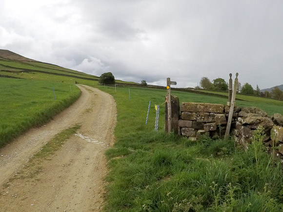 Farndale Daffodil Walk 25