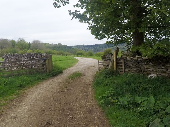 Helmsley to Rievaulx Abbey walk 29