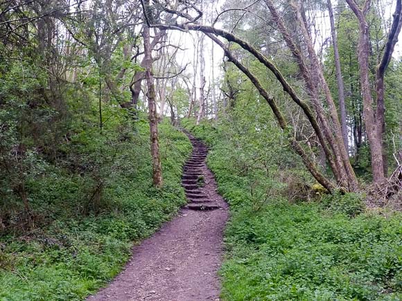 Helmsley to Rievaulx Abbey walk 5