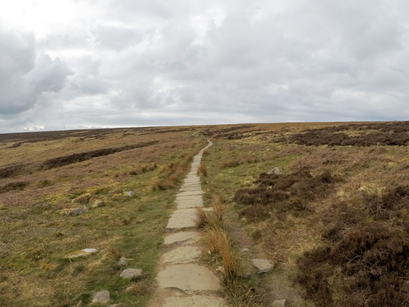 Ilkley Moor Cow and Calf and the Twelve Apostles 29