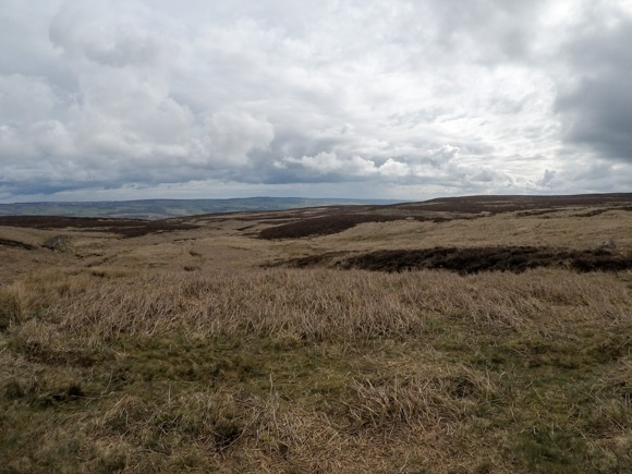 Ilkley Moor Cow and Calf and the Twelve Apostles 30