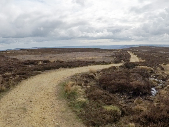 Ilkley Moor Cow and Calf and the Twelve Apostles 34