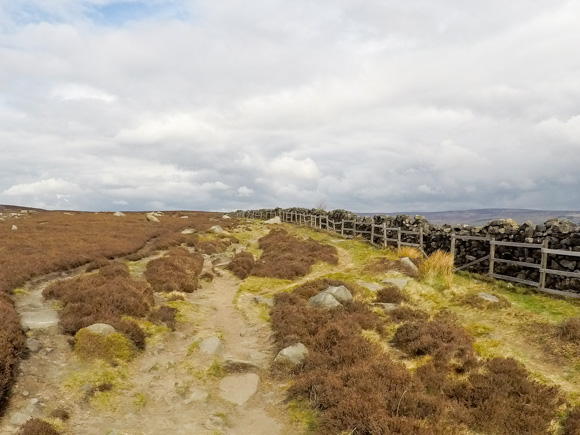 Ilkley Moor Cow and Calf and the Twelve Apostles 46