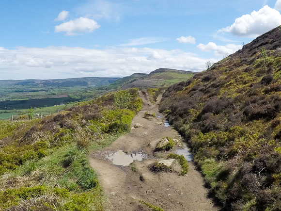 Lord Stones and Cleveland Way 8