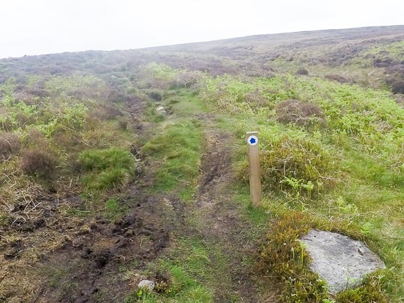 Wainstones Circular Walk 29