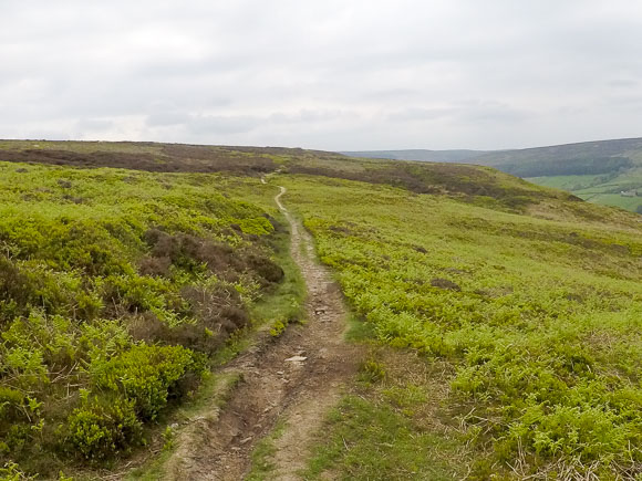 Wainstones Circular Walk 31